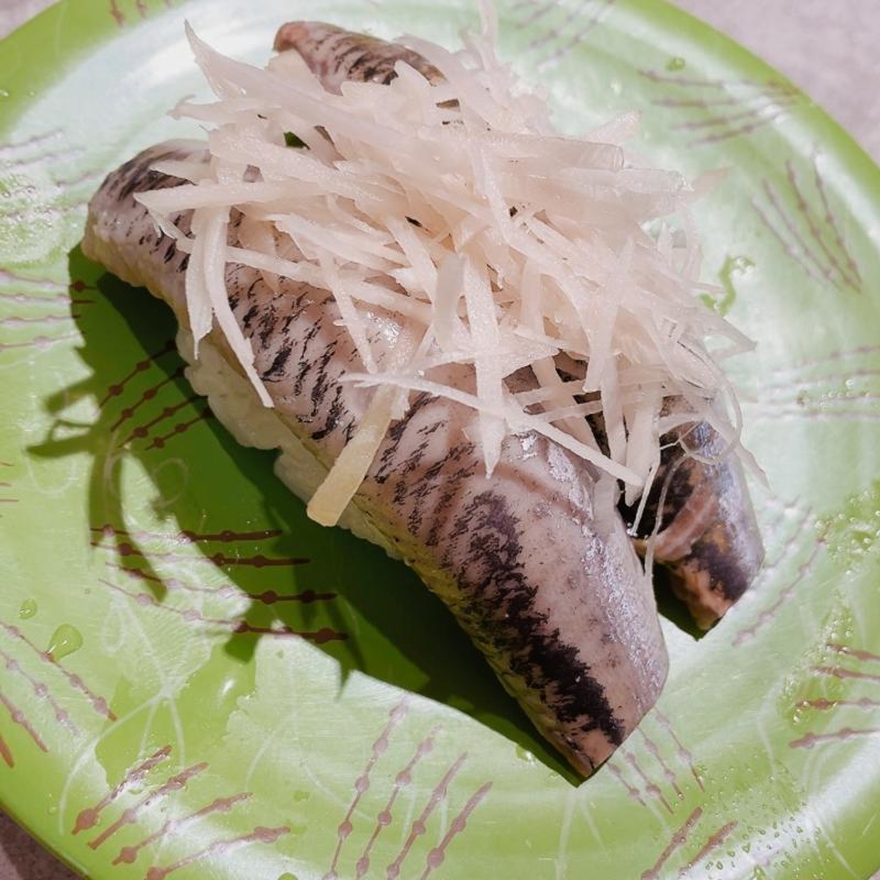 イワシ(回転寿司 根室花まる 南郷店)
