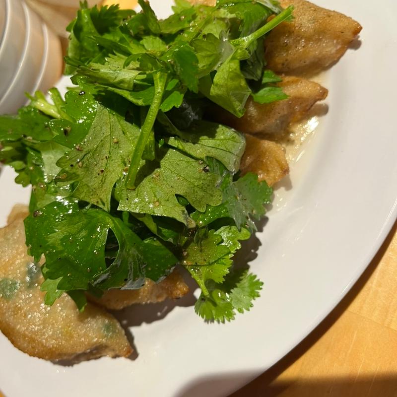 パクチー餃子(餃子 どんぞこ)