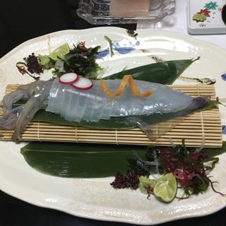 (正弁丹吾 （ショウベンタンゴ）)