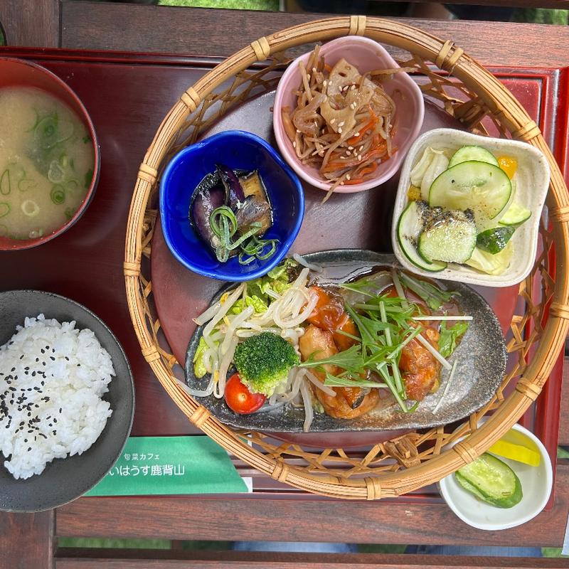 鹿背山定食（A）(旬菜カフェあいはうす鹿背山)