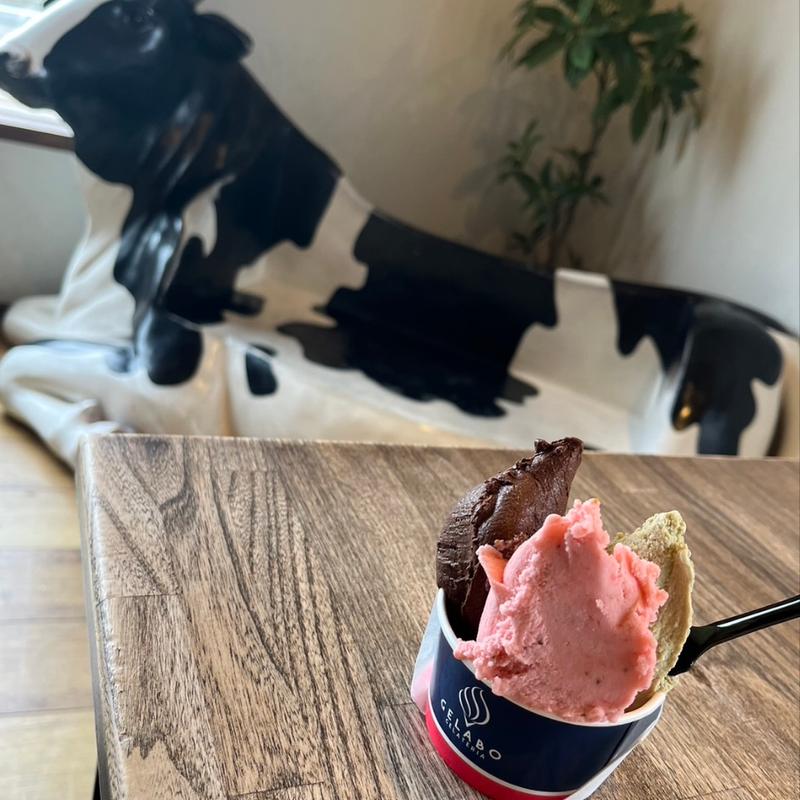 ジェラートトリプル(GELATERIA GELABO(ジェラテリアジェラボ）)