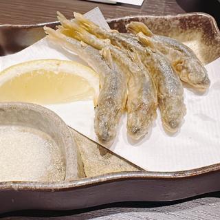 小鮎の天ぷら(町衆料理 京もん 八条口店)