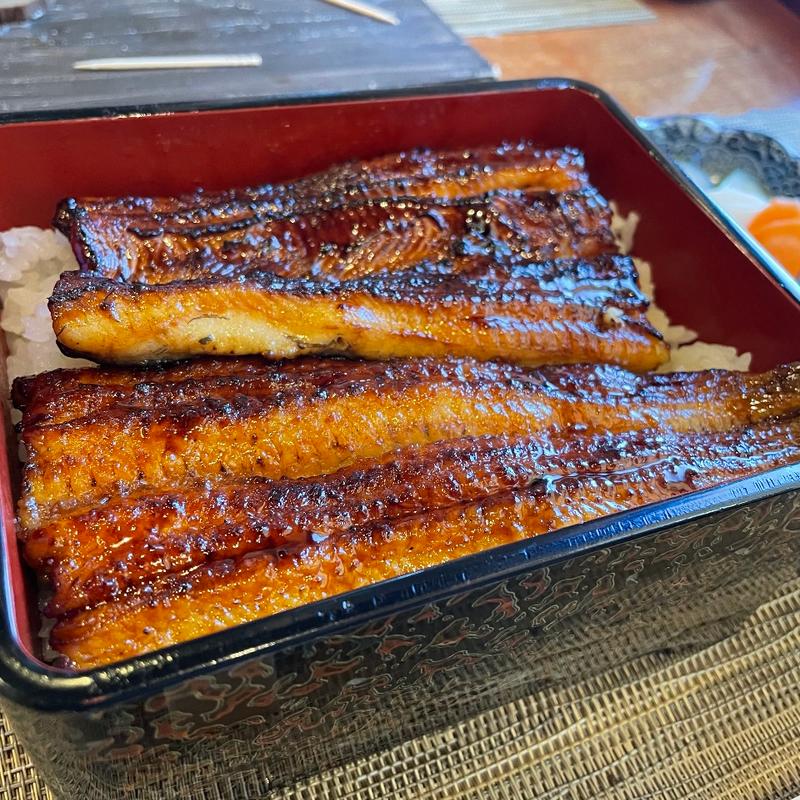 上うな重(うなぎ　流木)