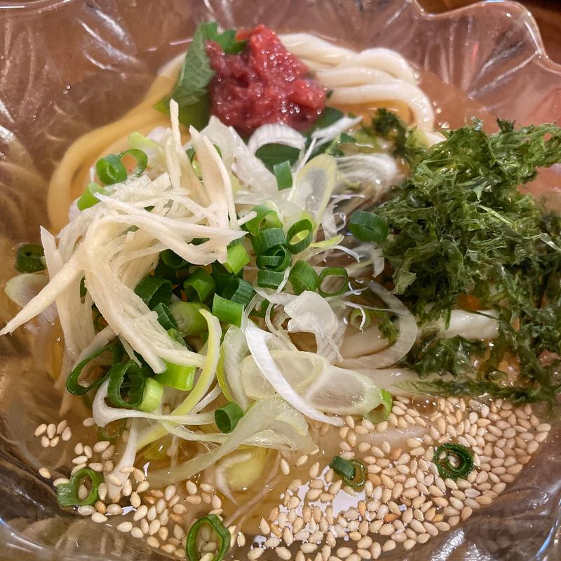 うめネギうどん(手打ちうどん長谷川 （【旧店名】エン座　長谷川）)