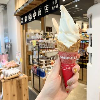 カマンベールソフトクリーム(妙高高原　雪國商店　新潟食の蔵)