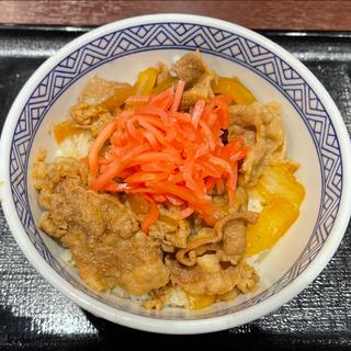 牛丼（小盛）(吉野家 丸田町店)