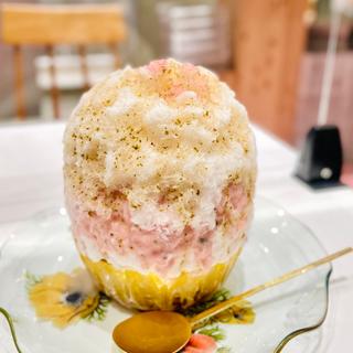 かき氷　桜餅(お茶と酒 たすき 新風館店)