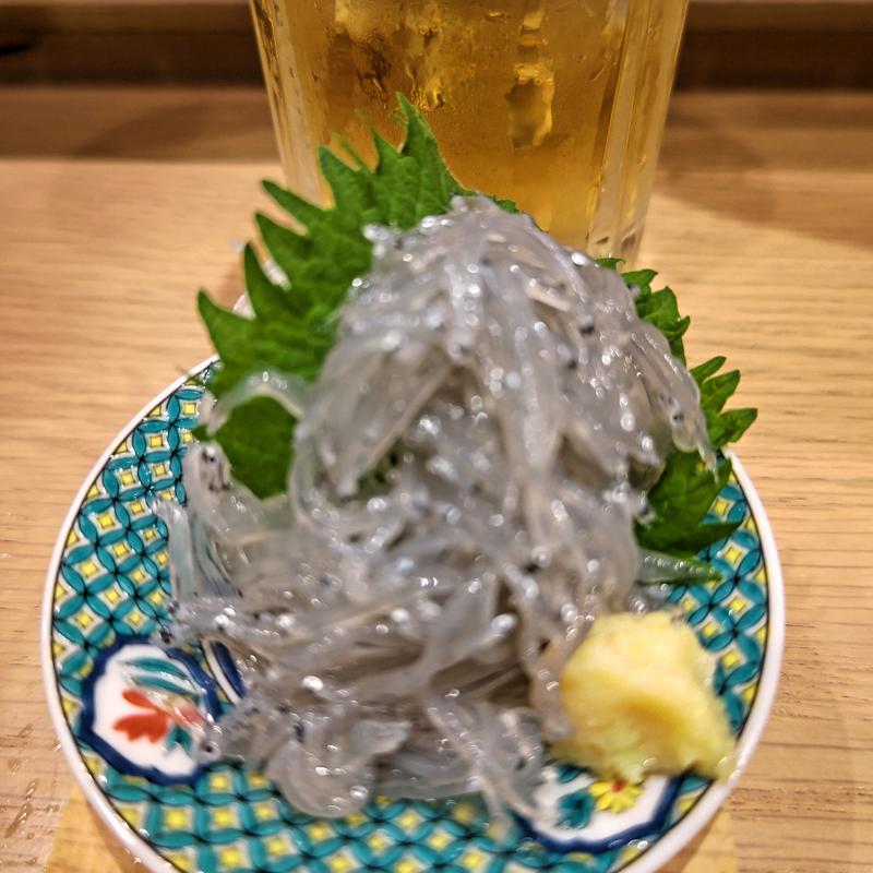 生しらす(貝 刺身専門店 しらはら 関内)