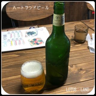 ハートランドビール(itamen LOTUS LAND)