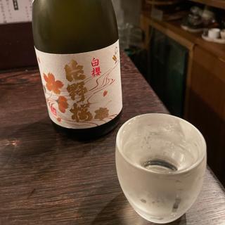 片野桜(ニコノスタンド)