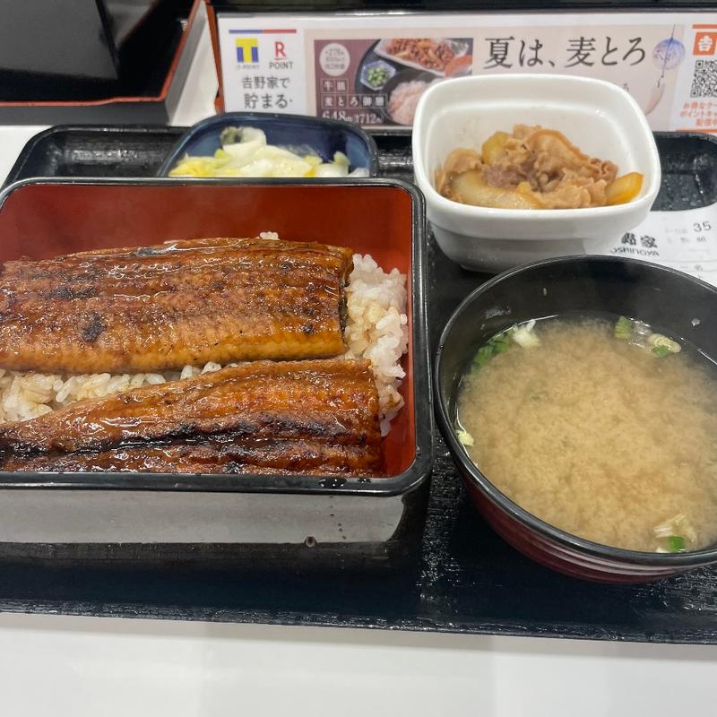 (吉野家 千日前店)