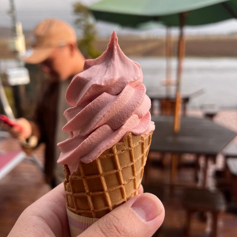 日替わりソフトクリーム(Shop's Garden 千花 -せんか-)