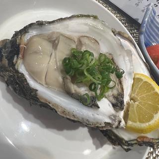 岩牡蠣(うれしや 和さん)