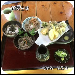 蕎麦三昧(清見庵　おおくら )