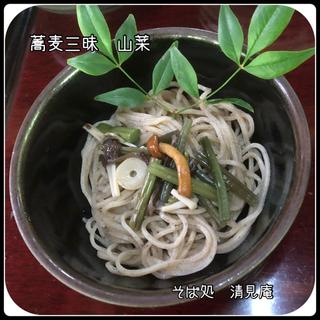 蕎麦三昧　山菜そば(清見庵　おおくら )