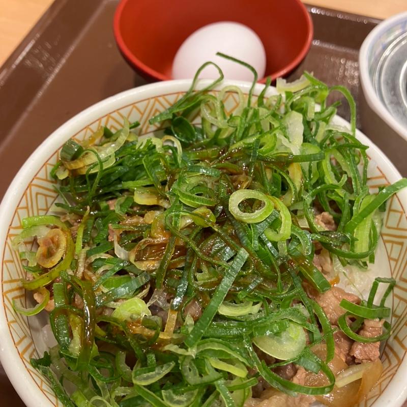 ネギ玉牛丼ミニ(すき家 札幌ポールタウン店)