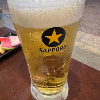 生ビール(鶏と魚と炭火焼き 燈～あかり～)