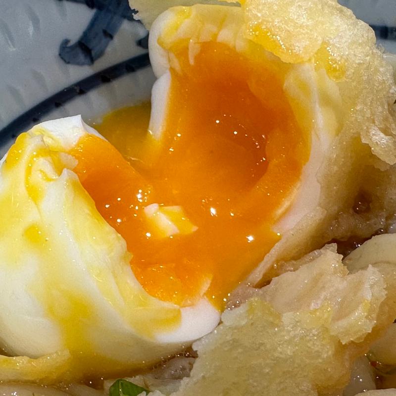 冷やしらすうどん➕半熟玉子天(宮武讃岐うどん アリオ橋本店)