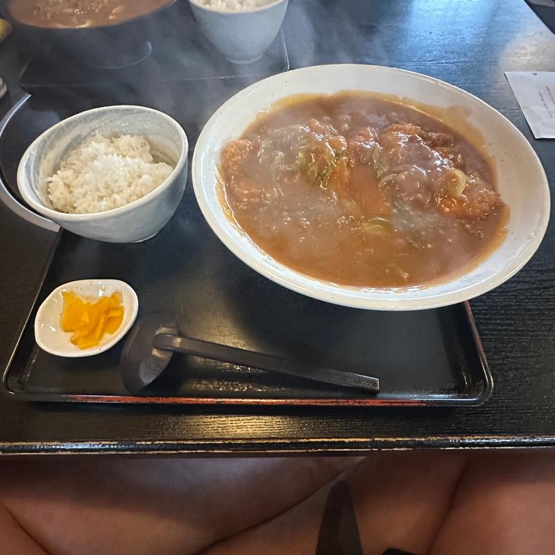 かつカレーうどん(ふじきち)