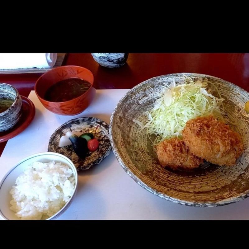 ヒレカツ　ご飯セット(自然坊 )