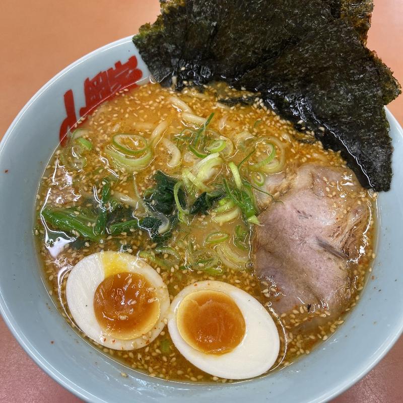 特製味噌ラーメン(ラーメン山岡家 佐野店 )