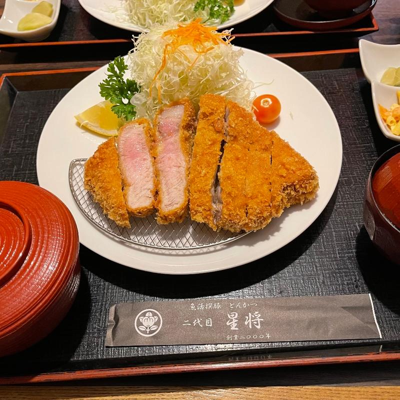 (魚活撰豚 とんかつ 二代目 星将 )