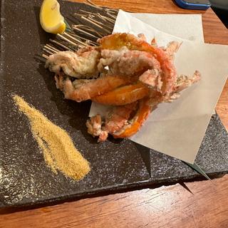 (きんぎょ)