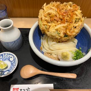 (本格手打もり家 東京店)