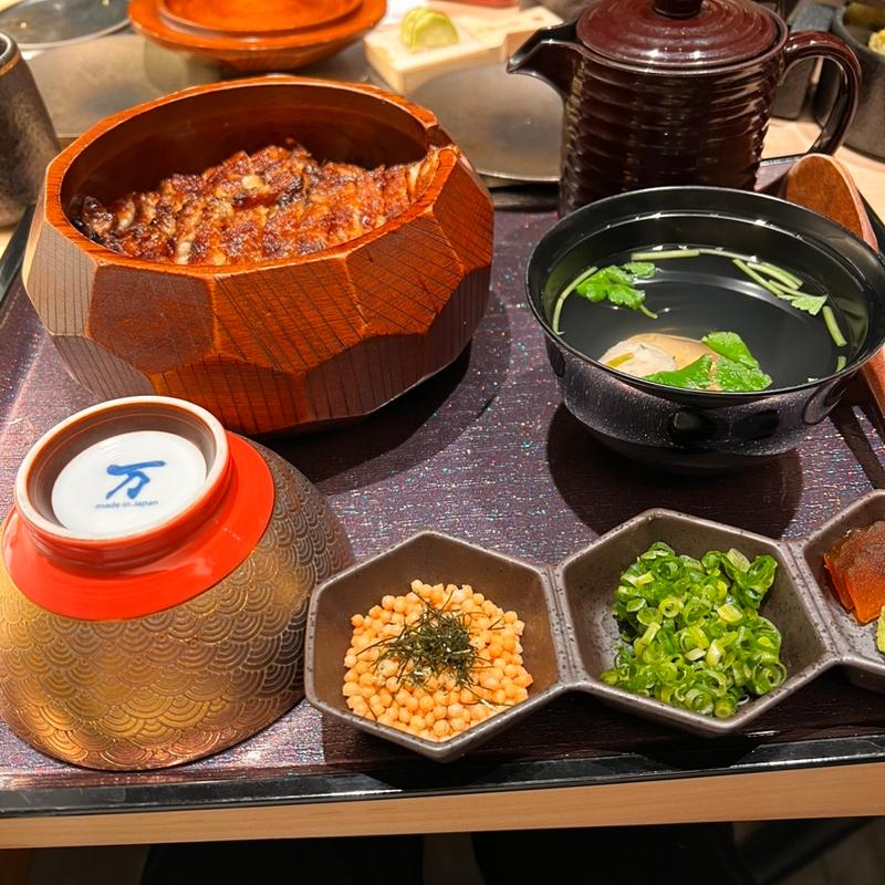 (炭焼ひつまぶし鰻 むなぎ)