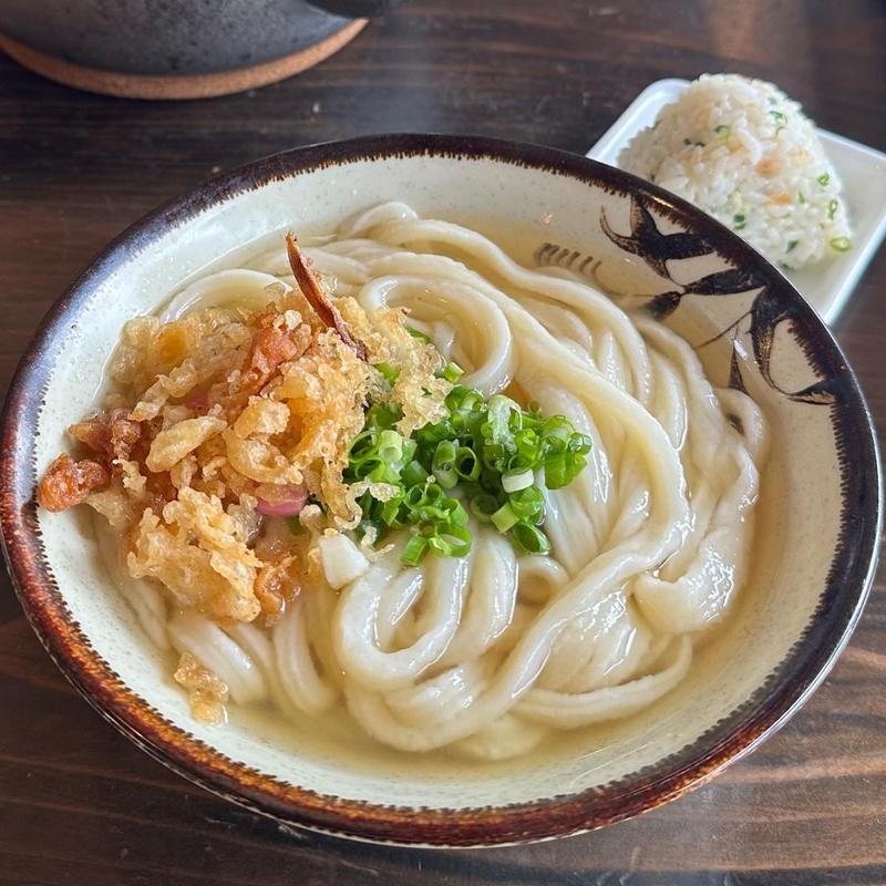 かけうどん(小)(本格手打 あかみち)