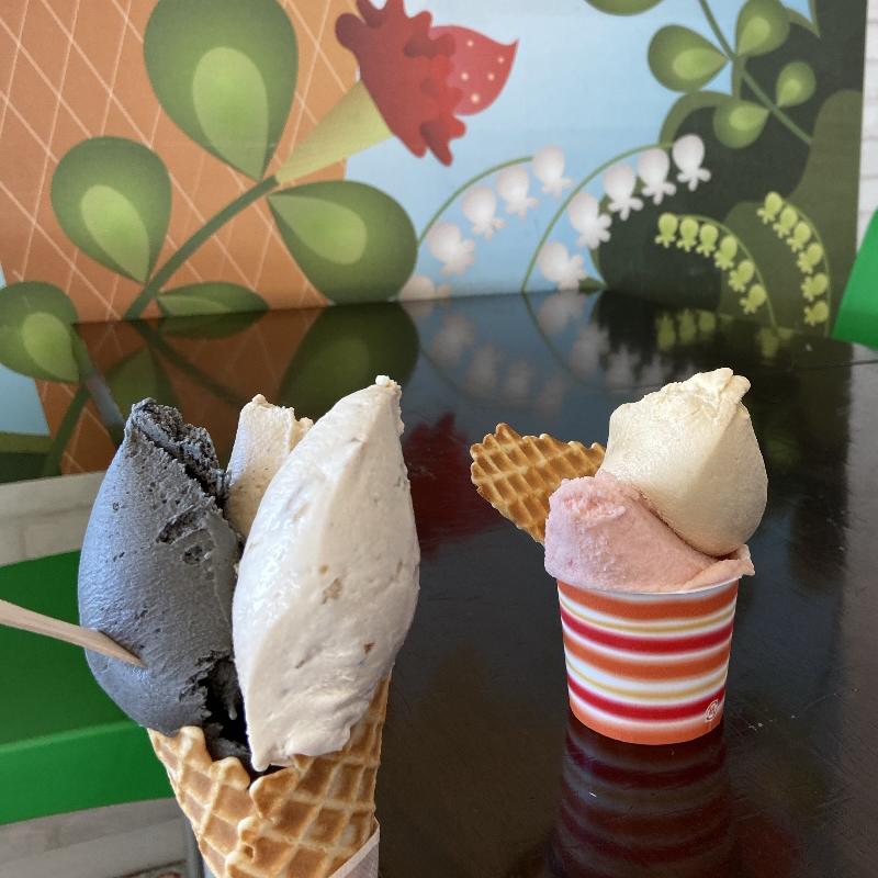 (ニセコ ジェラート)