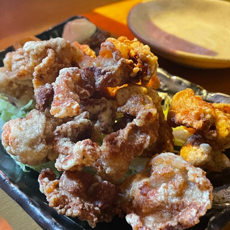 豚の唐揚げ(E-YANAKA （イーヤナカ）)