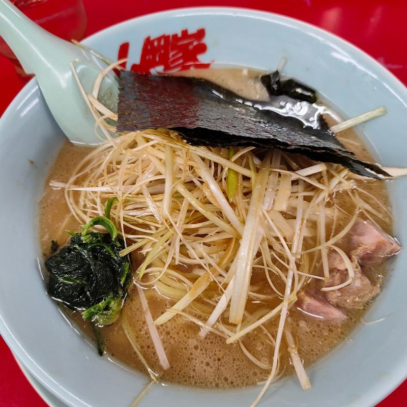 ネギラーメン (醤油)(山岡家 樽川店 （やまおかや）)