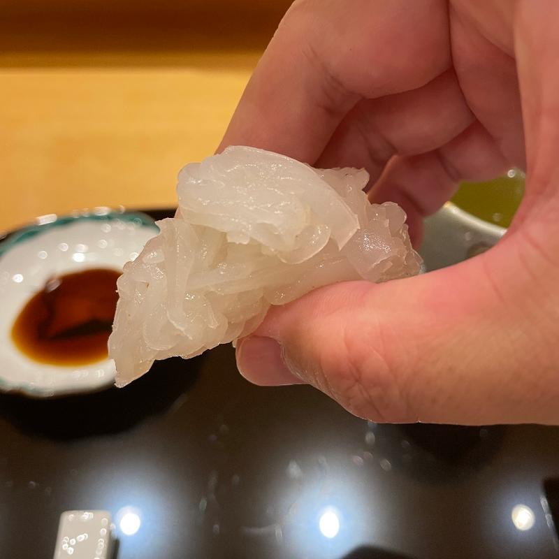 アカイカ(小松弥助)