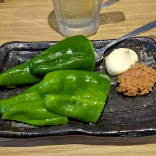 自家製tunaビーマン(酒と魚とめし 濱いちもんめ横浜店)