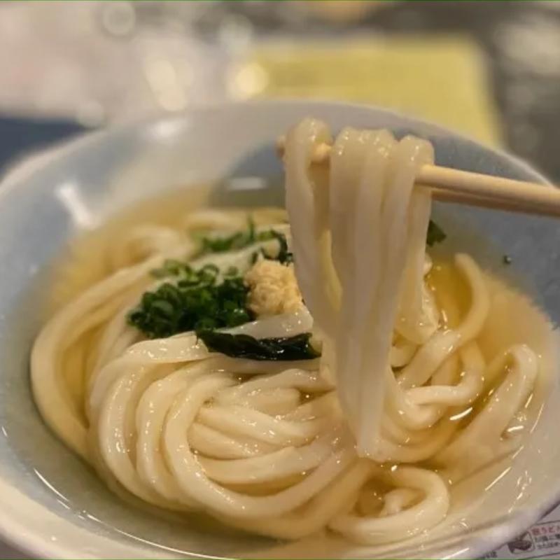 冷かけうどん(うどん職人さぬき麺之介 )