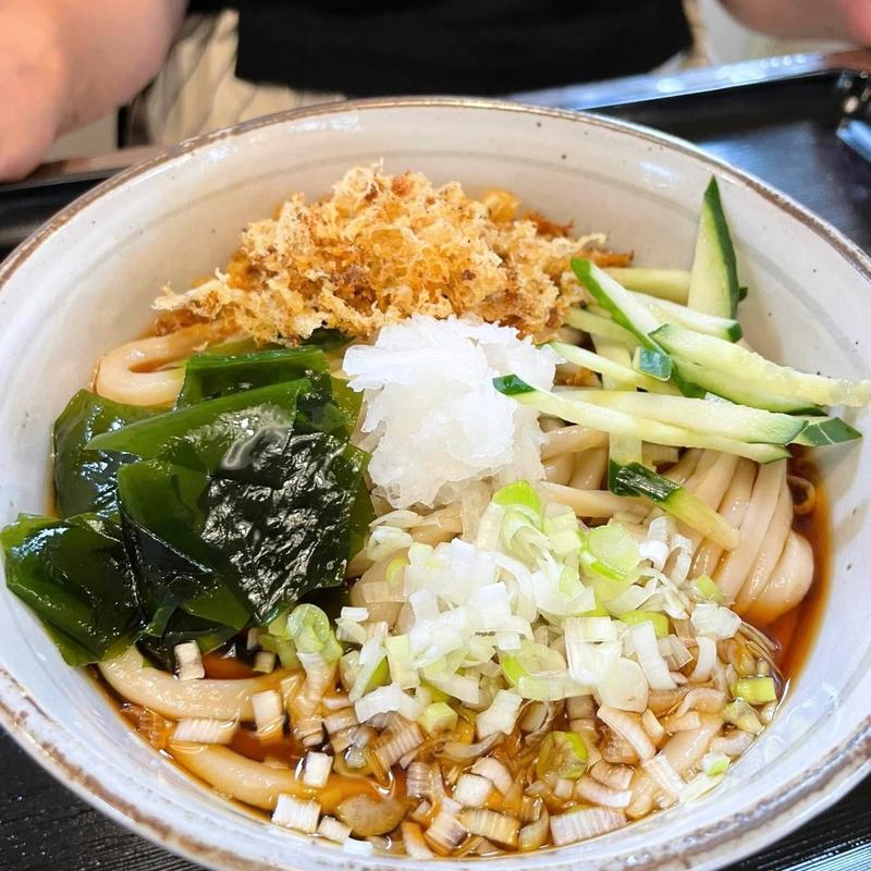 冷やしたぬきうどん(うどん仲藤)
