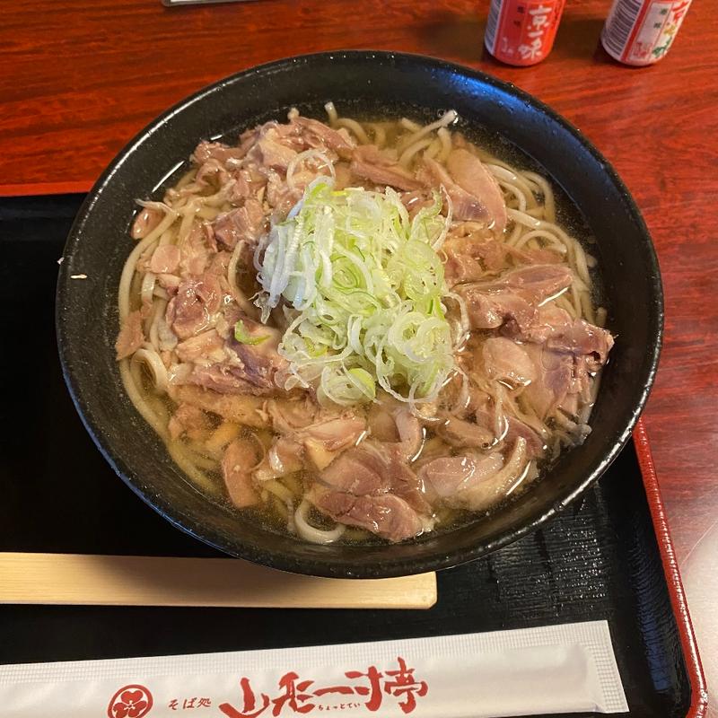冷たい肉そば大盛り(山形一寸亭 （やまがたちょっとてい）)