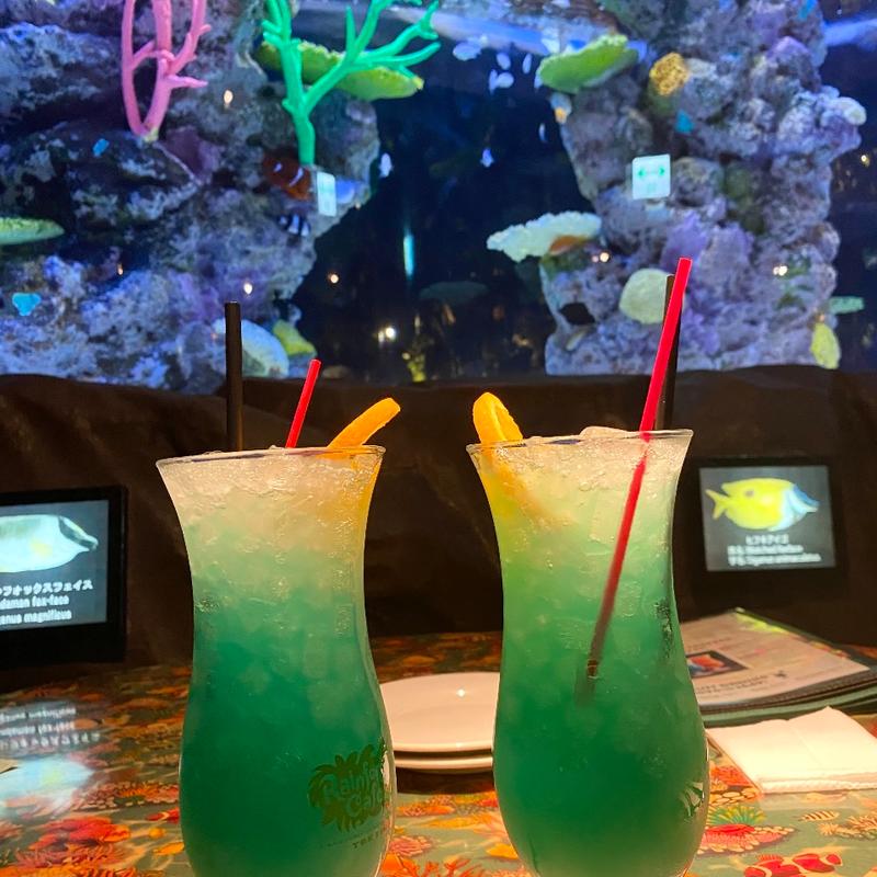 (レインフォレストカフェ・トーキョー （Rainforest cafe）)