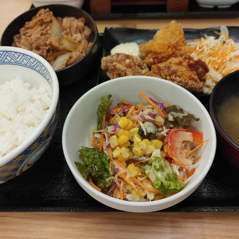 牛皿・から揚げ定食＋生野菜サラダ(吉野家 市川鬼高店)