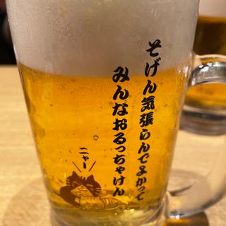 生ビール(モツビストロ天神ホルモン KITTE博多店)