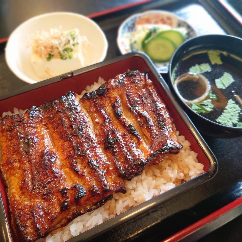 上重(ごはん大盛)(うなぎ・川魚 濵丑)