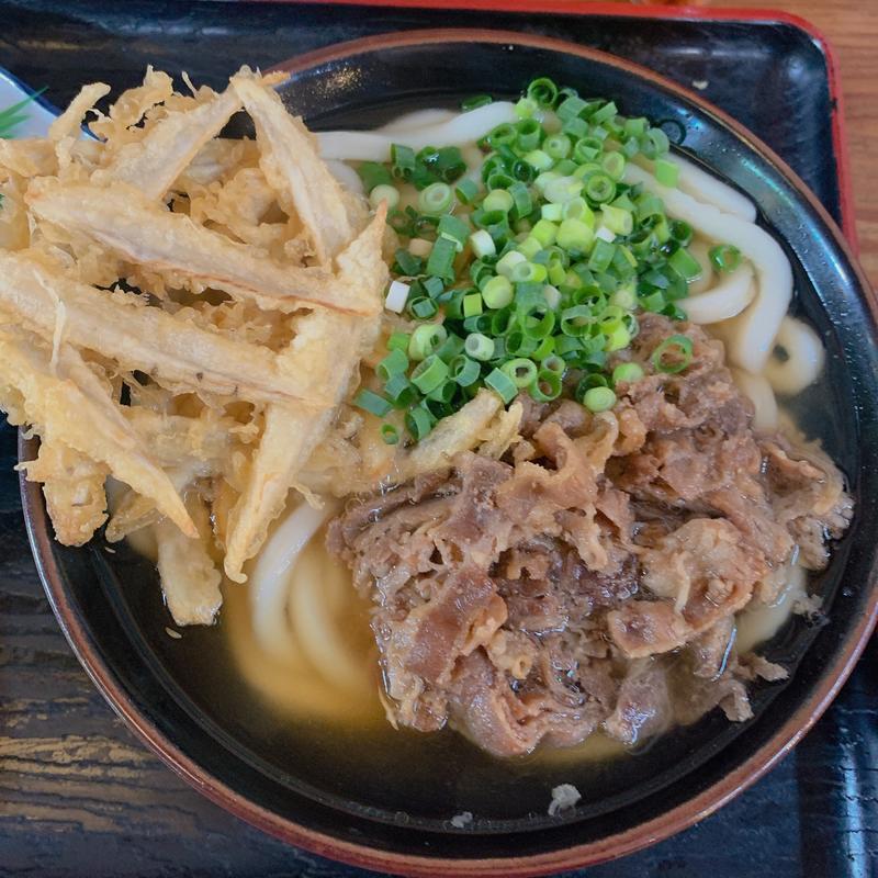 肉ごぼう天うどん(麦の花)