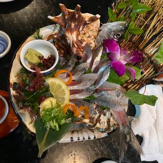 (海鮮居酒屋 なかよし難波店)