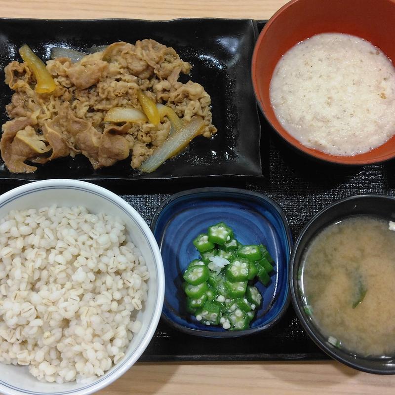 牛皿麦とろ御膳(吉野家 仙台イービーンズ店 )