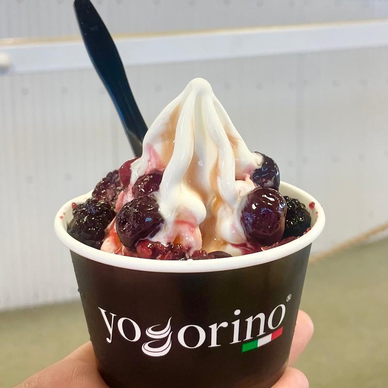 ヨゴリーノパフェ イチゴシロップ&ミックスベリー(ヨゴリーノ お台場デックス東京ビーチ店)