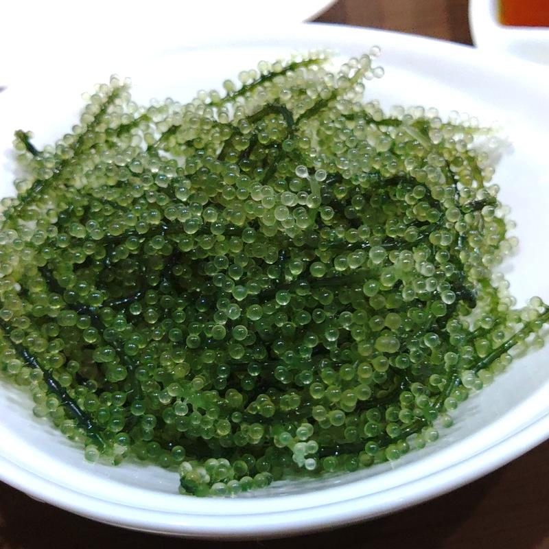 海ぶどう(ぶんみゃあ )