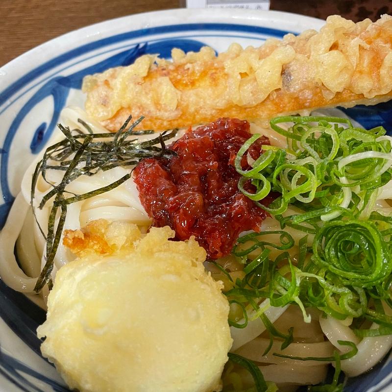 うめちく天ぶっかけうどん(讃松庵)