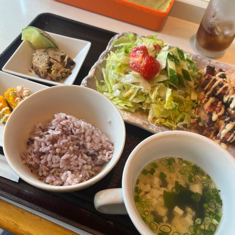 鶏もも肉照り焼きセット(青い地球)