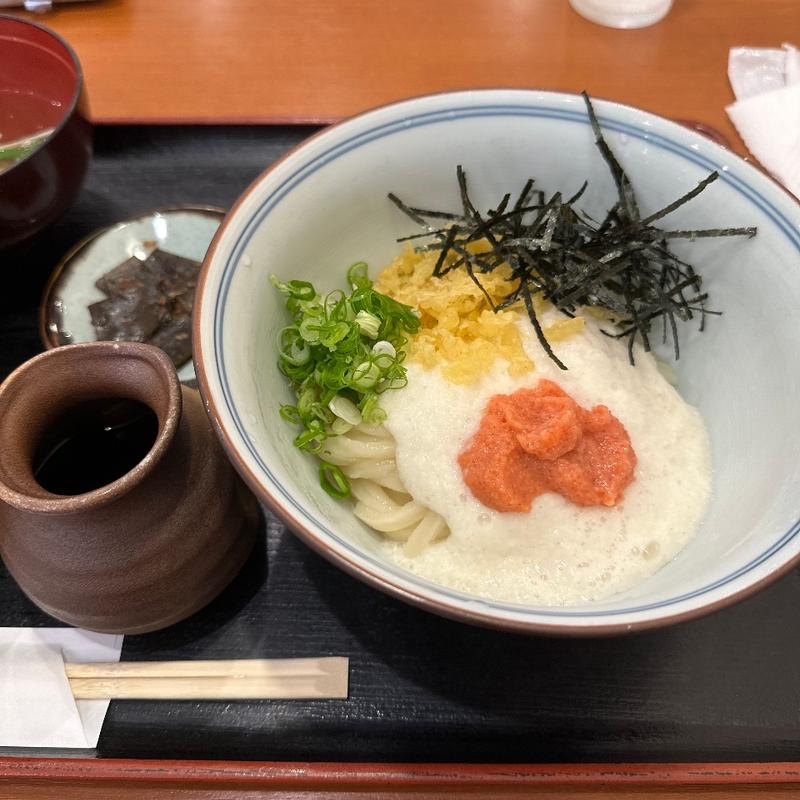 明太とろろぶっかけうどん(うどん 京屋)